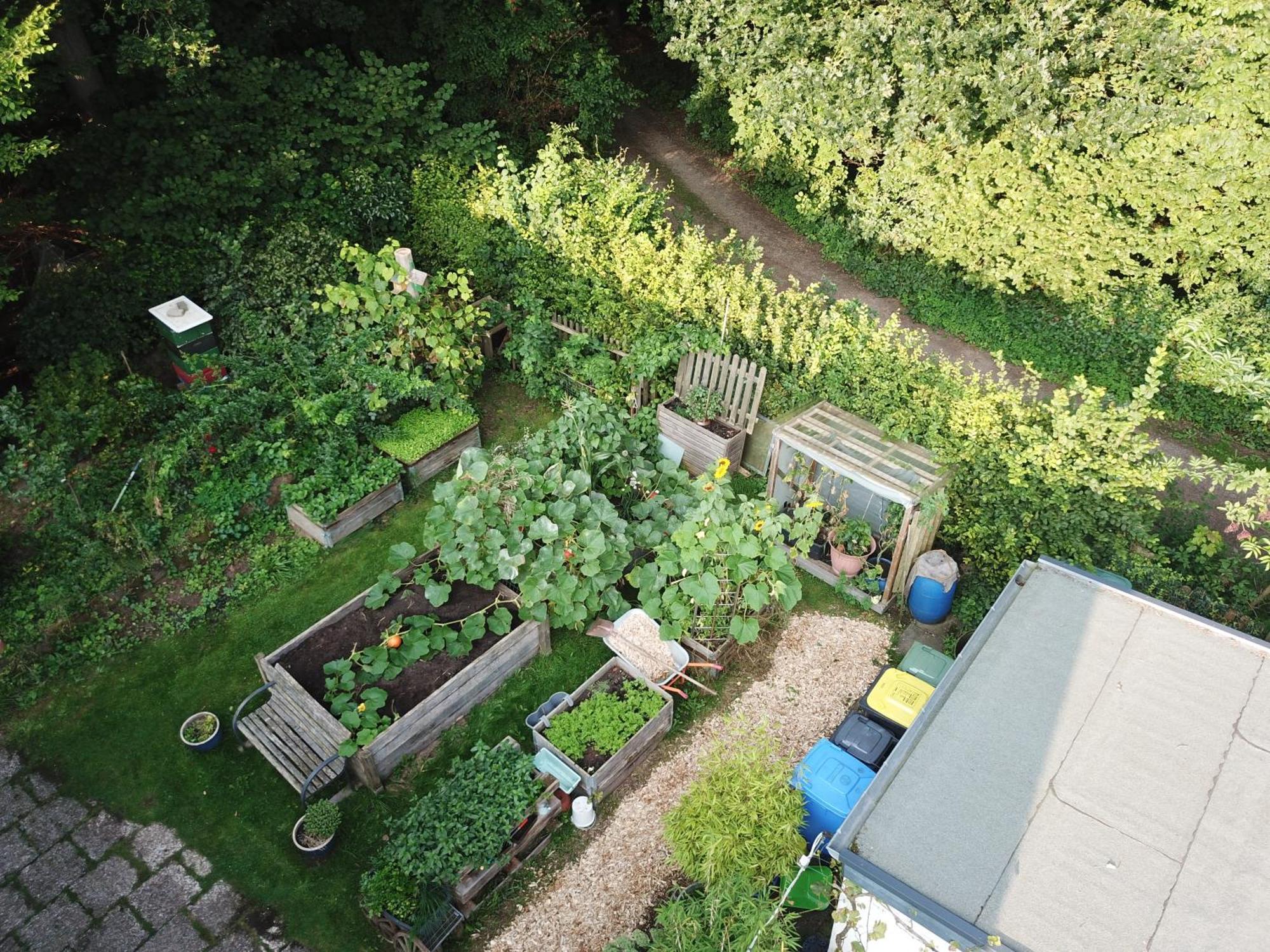 Ruhige Ferienwohnung „Suedhang“ Direkt Am Wald Bad Arolsen Exterior photo